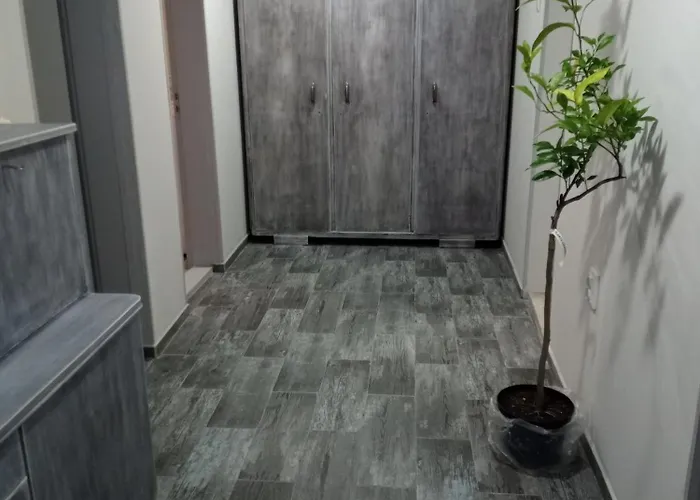 за гости Vivia *